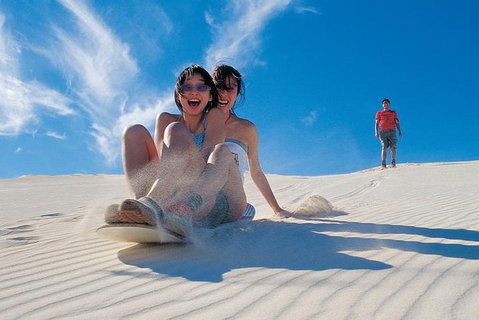 Pinnacles Desert, Koalas And Sandboarding 4WD Day Tour From Perth - Accommodation NSW 3