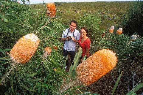 Best Of Perth Wildflower Season Day Trip - Accommodation NSW 0