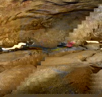 2-Day Wave Rock York Wildflowers  Aboriginal Experience - Accommodation NSW