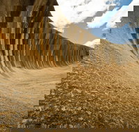 Wave Rock York Wildflowers and Aboriginal Cultural Day Tour from Perth - Accommodation NSW