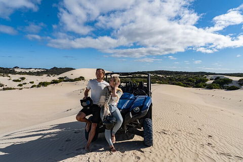 Small-Group Buggy Tour At Little Sahara With Guide - Accommodation NSW 2