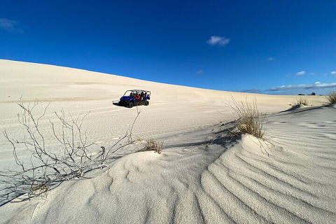 Small-Group Buggy Tour At Little Sahara With Guide - Accommodation NSW 3