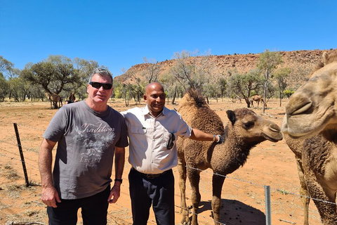 West MacDonnell Ranges Half-Day Small-Group Tour With Camel Ride - Accommodation NSW 1
