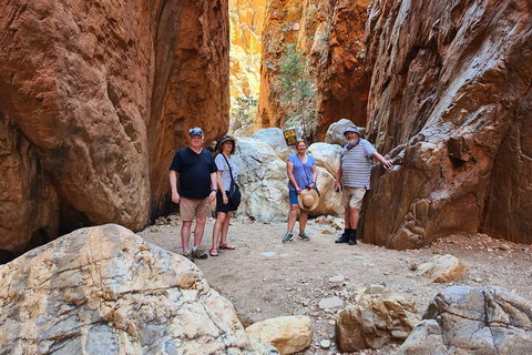 West MacDonnell Ranges Half-Day Small-Group Tour With Camel Ride - Accommodation NSW 4