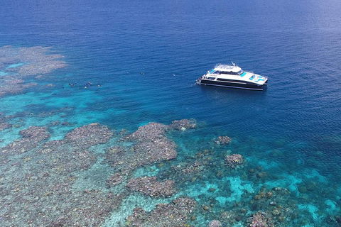 Calypso Outer Great Barrier Reef Cruise From Port Douglas - Accommodation NSW 4