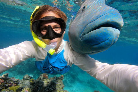 Calypso Outer Great Barrier Reef Cruise From Port Douglas - Accommodation NSW 5