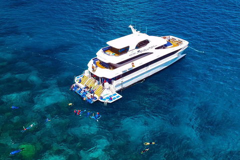 Great Barrier Reef Snorkeling And Diving Cruise From Cairns - Accommodation NSW 5