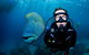 Full Day Reef Cruise Including 10 Minute Heli Scenic Flight: Get High Package - thumb 1