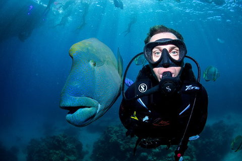 Full Day Reef Cruise Including 10 Minute Heli Scenic Flight: Get High Package - Accommodation NSW 1