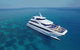 Full Day Reef Cruise Including 10 Minute Heli Scenic Flight: Get High Package - thumb 4