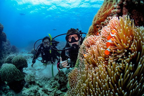 Full Day Reef Cruise Including 10 Minute Heli Scenic Flight: Get High Package - Accommodation NSW 5