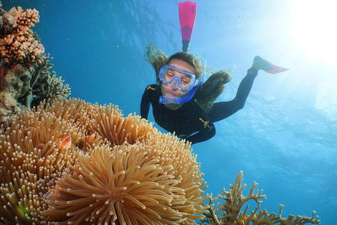 Helicopter And Cruise Packages From Port Douglas - Accommodation NSW 3