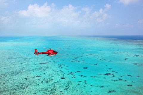 Port Douglas Scenic Flights - Accommodation NSW 0