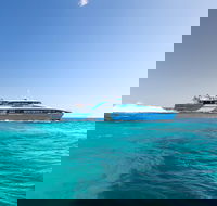 Rottnest Island All-Inclusive Grand Island Tour from Fremantle - Accommodation NSW