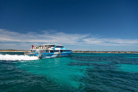 Rottnest Island All-Inclusive Grand Island Tour From Fremantle - Accommodation NSW 3