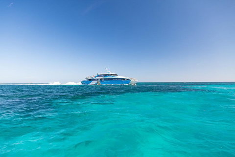 Rottnest Island Bike & Ferry Package From Fremantle - Accommodation NSW 0