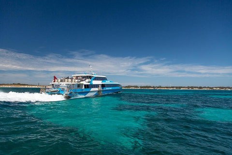 Rottnest Island Bike & Ferry Package From Fremantle - Accommodation NSW 4