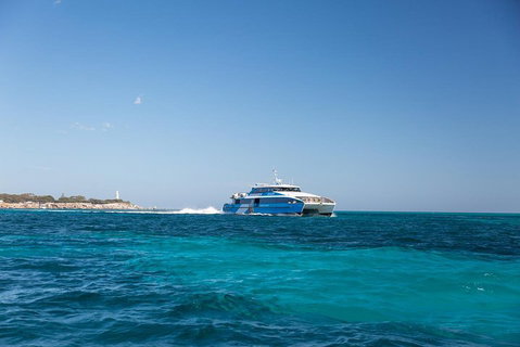 Rottnest Island Bike & Ferry Package From Perth - Accommodation NSW 2