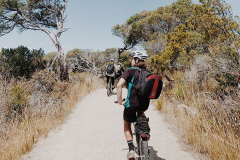 Self-Guided Point Nepean National Park Bike Hire - Accommodation NSW 0