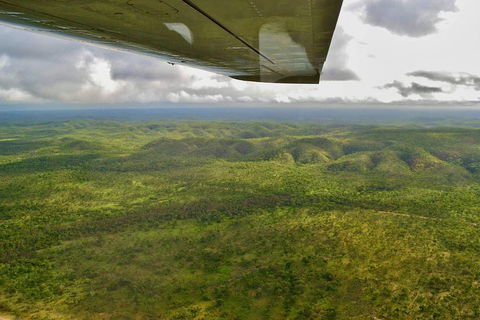 Litchfield Park & Daly River - Scenic Flight From Darwin - Accommodation NSW 2
