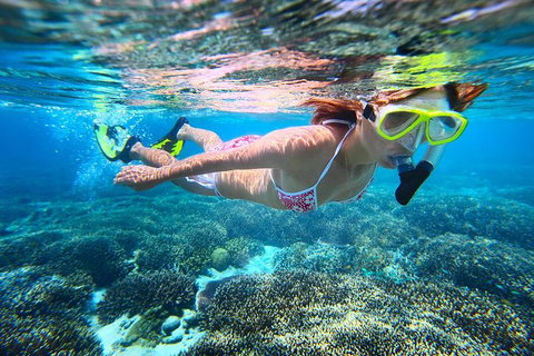 Abrolhos Islands Scenic Flight & Snorkel Adventure From Perth - Accommodation NSW 1
