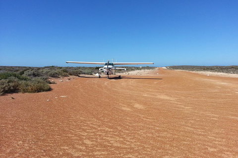 Abrolhos Islands Scenic Flight & Snorkel Adventure From Perth - Accommodation NSW 3