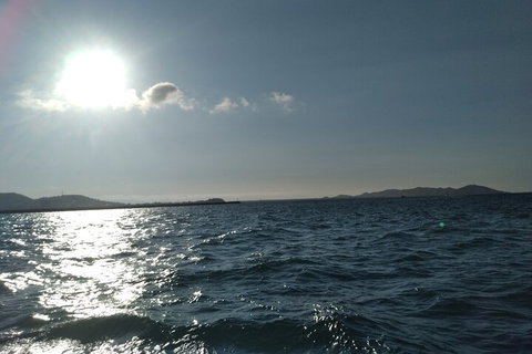 Townsville Small Group Early Morning Sailing Cruise Boat Tour Charter Hire - Accommodation NSW 4