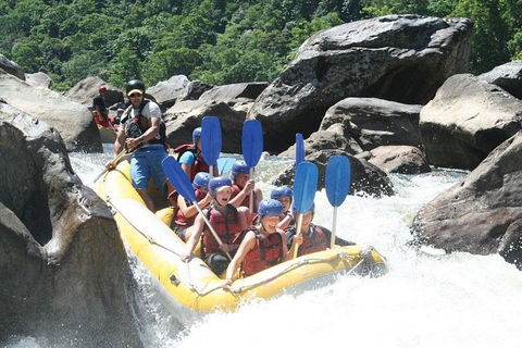 Barron River Half-Day White Water Rafting From Cairns - Accommodation NSW 3