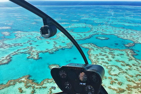 Reef & Whitehaven Landing - Accommodation NSW 1