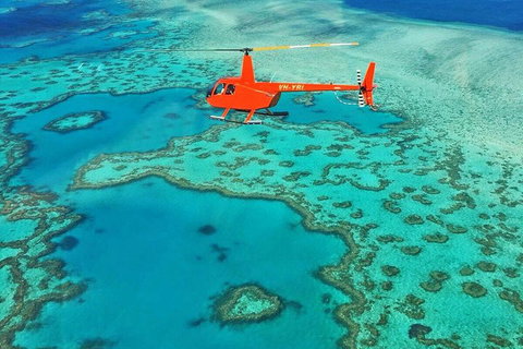 Reef & Whitehaven Landing - Accommodation NSW 4