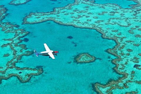 Fly & Sail Package (With Providence) - Accommodation NSW 4