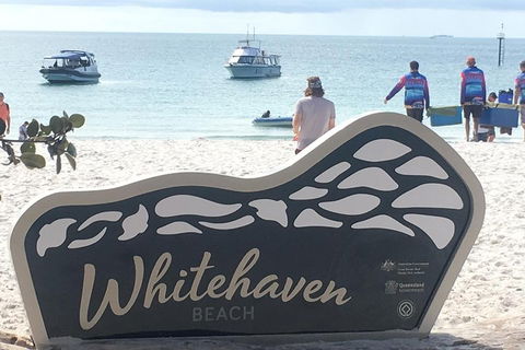 Whitehaven Beach And Hill Inlet | Awesome Beach BBQ | Family Friendly - Accommodation NSW 5