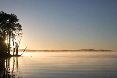 Serenity Cruise To Australia's Everglades - Accommodation NSW 0