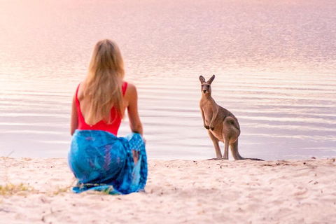 Serenity Cruise To Australia's Everglades - Accommodation NSW 3