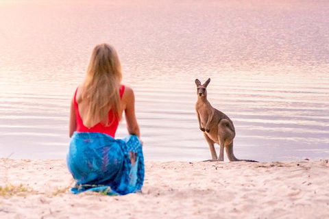 Cruise 'n' Canoe To Australia's Everglades - Accommodation NSW 5