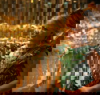 The Perth Mint Guided Heritage Tour and Gold Pour - Accommodation NSW