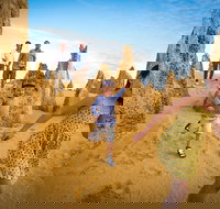 Full-Day Pinnacles Desert and Yanchep National Park Tour From Perth - Accommodation NSW