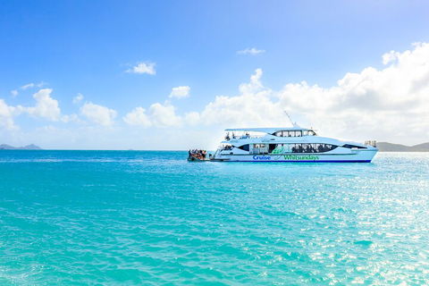 Whitehaven Beach And Daydream Island Cruise - Accommodation NSW 2