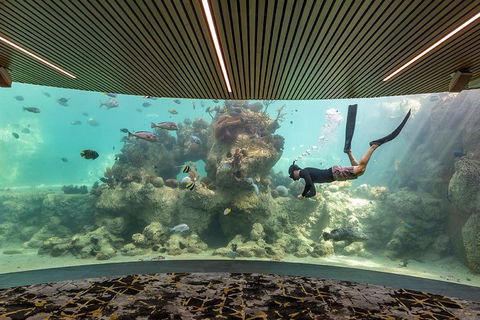 Whitehaven Beach And Daydream Island Cruise - Accommodation NSW 4