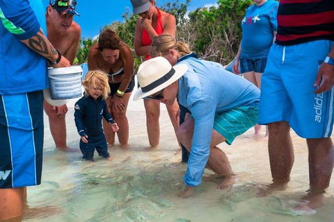 Whitehaven Beach And Hamilton Island Cruise - Accommodation NSW 1