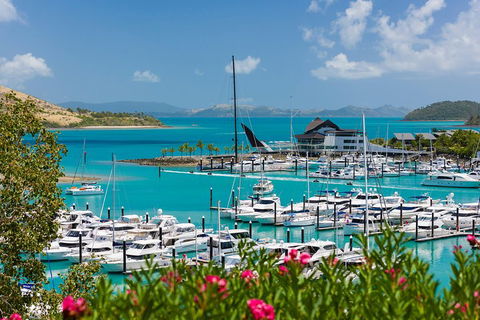 Whitehaven Beach And Hamilton Island Cruise - Accommodation NSW 3