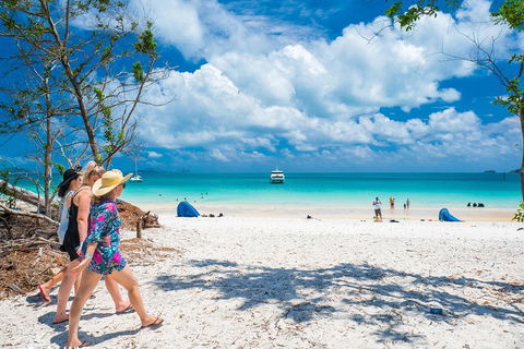 Whitehaven Beach Half-Day Cruises - Accommodation NSW 1