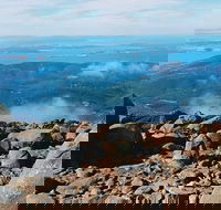Mount Wellington Ultimate Experience Tour from Hobart - Accommodation NSW