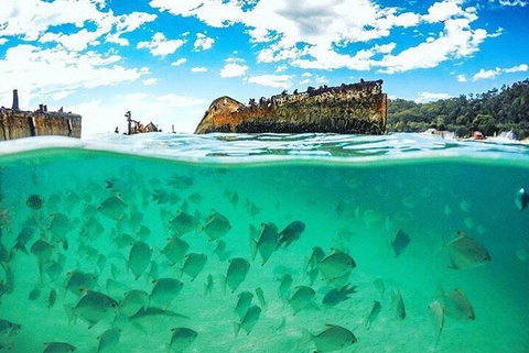 Adventure Moreton Island Day Pass - Accommodation NSW 4