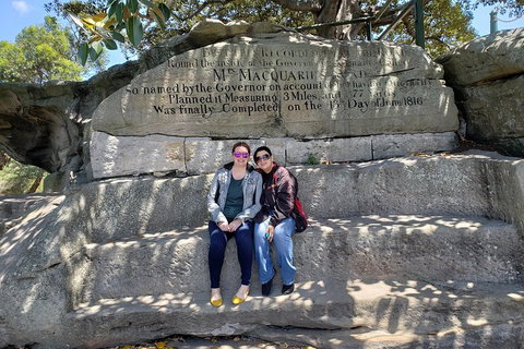 Sydney Scenic Trike Or Harley Davidson Tour - Accommodation NSW 2