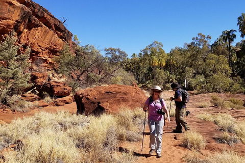 Palm Valley And Hermannsburg 1 Day 4WD Tour - Accommodation NSW 1
