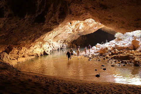 Windjana Explorer - Accommodation NSW 0