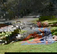 Mt Tamborine - Hinterland Wonders Self Guided - Accommodation NSW