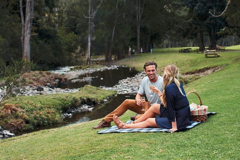 Mt Tamborine - Hinterland Wonders Self Guided - Accommodation NSW 0