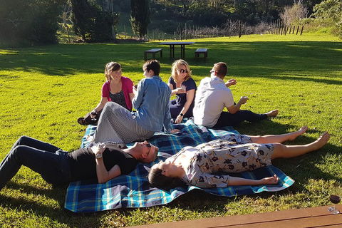 Mt Tamborine - Hinterland Wonders Self Guided - Accommodation NSW 2